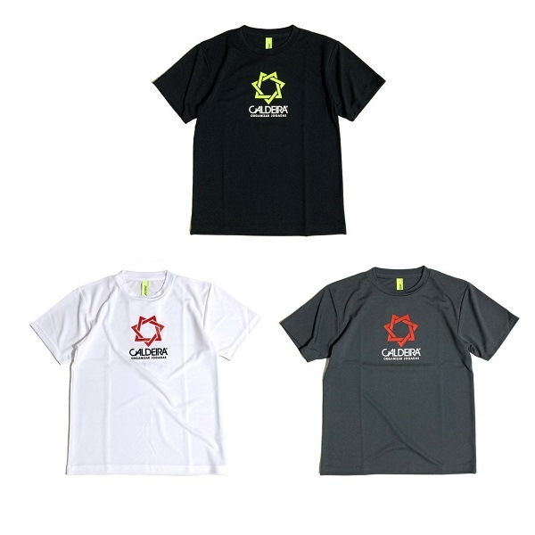 BICOLOR LOGO PRA SHIRT "STAR TRAIL" ��CALDEIRA(�����ǥ�)13CR501