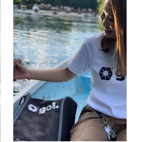 T����ġ�BASIC�䡦gol.(�����G792-598