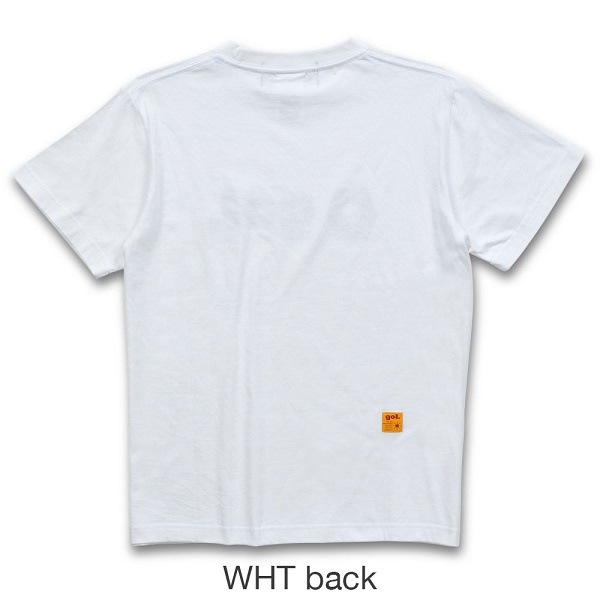 T����ġ�BASIC�䡦gol.(�����G792-598