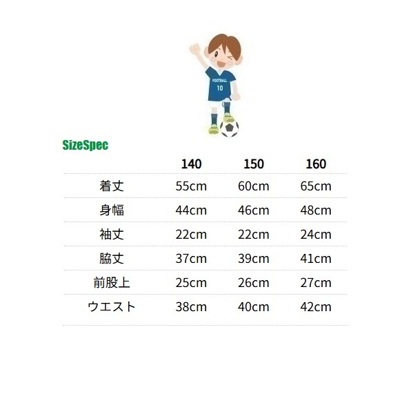 ڥץ饯ƥġʾ岼åȡ(˥)Dalponte(ݥ)DPZ0436J