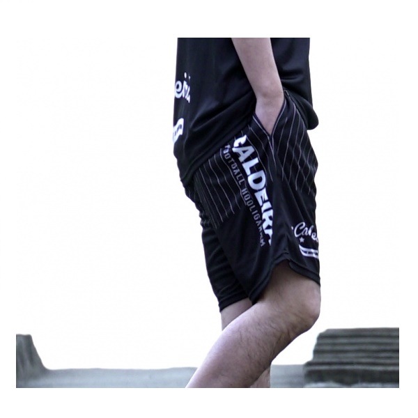 PINSTRIPE GAME PANTS ��ARMOR�� �ץ�ѥ�� ��CALDEIRA(�����ǥ�)9007�ں����پ��ʡ�