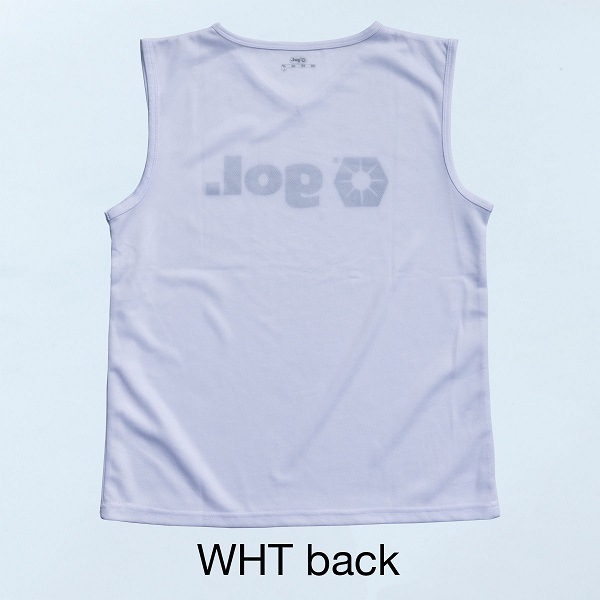 �ץ饯�ƥ�������ĥΡ����꡼��1.0��gol.(�����G946-533