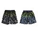 PRA PANTS  NIGHT SAFARI  (キャルデラ)11CR310|ウェア|CALDEIRA(キャルデラ)