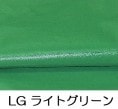 オーダートラックシート　ライトグリーン　3.1ｍ×10.5ｍ