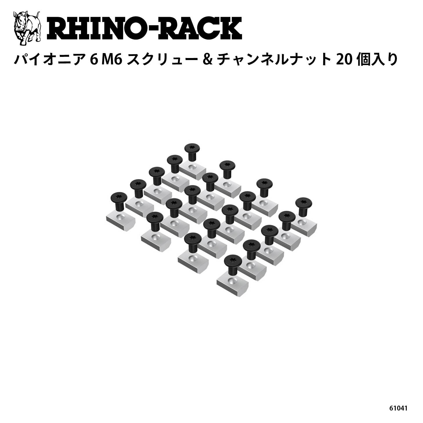 PIONEER 6 M6 SCREWS & CHANNEL NUTS SET OF 20