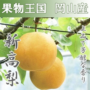 ������ ������ 4kg 9��������νв٤ˤʤ�ޤ� ����̵��