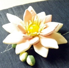 �������β֡�6cm��15cm��