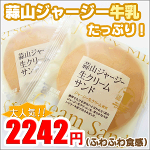 �ǻ����㡼���������꡼�ॵ��ɡ��ץ졼�󡡡�10�������