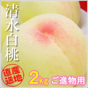 ͽճϡ۲2kg ʪ