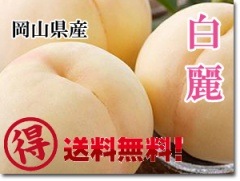 ��ͽ����ճ��ϡۡ�����������������4kg ��ʪ��