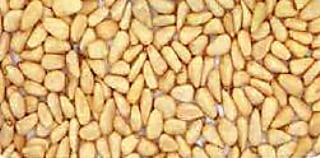 ���μ¡������ˡ�60g