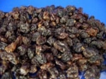 ����󥺡�1kg