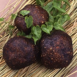 丹波篠山産　山の芋　秀品