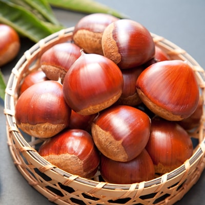 丹波篠山産　丹波栗