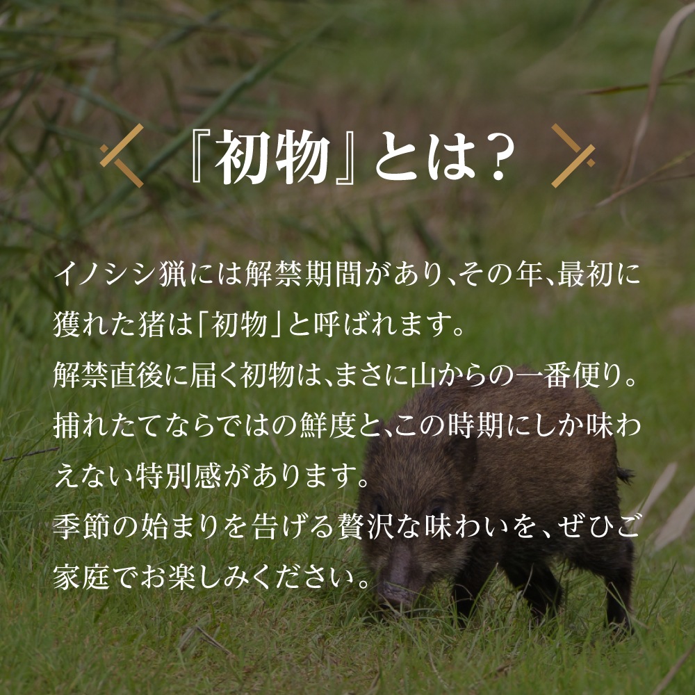 【初物】国産天然 ぼたん鍋 ロース生切りセット 400g