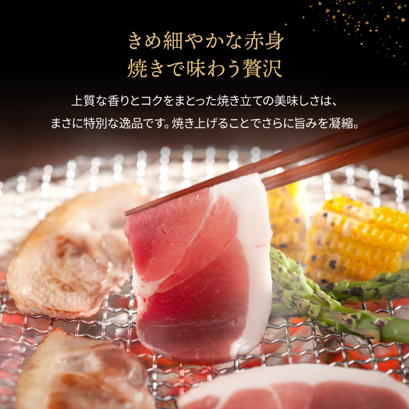 国産天然猪肉 焼ぼたん 赤身セット