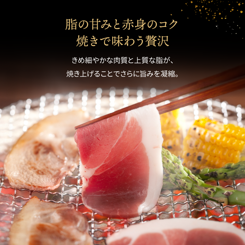 国産天然猪肉 焼ぼたん 特選セット