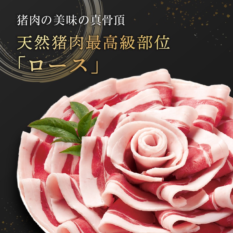 【ギフト】国産天然猪肉 ぼたん鍋ロース花盛りセット