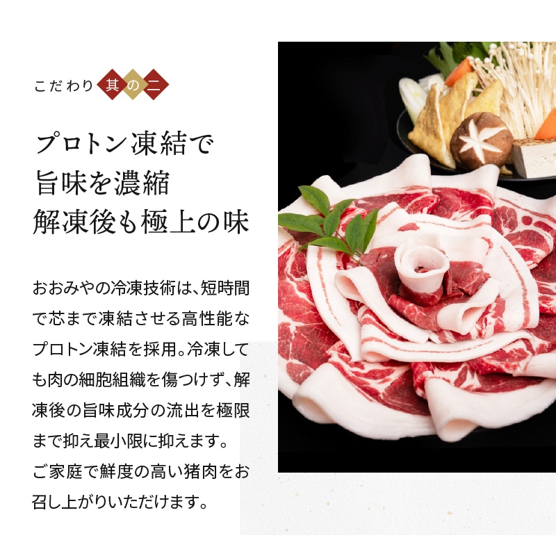 国産天然 ぼたん鍋 セット