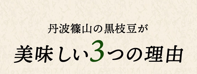 訳あり黒枝豆【WEB限定】10月中旬（14日頃）より順次発送｜【令和8年度産】丹波篠山産 訳あり黒枝豆 3kg (1箱)・５kg (1箱)