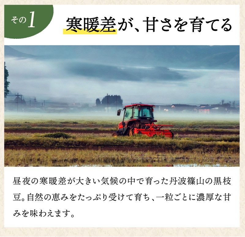 訳あり黒枝豆【WEB限定】10月中旬（14日頃）より順次発送｜【令和8年度産】丹波篠山産 訳あり黒枝豆 3kg (1箱)・５kg (1箱)