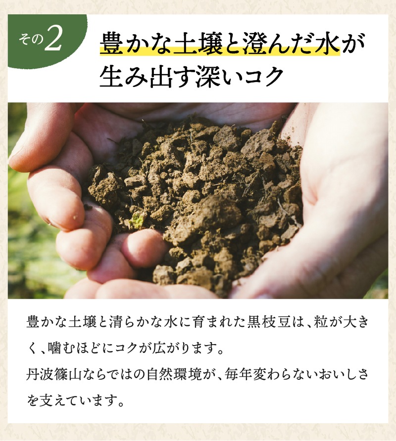 訳あり黒枝豆【WEB限定】10月中旬（14日頃）より順次発送｜【令和8年度産】丹波篠山産 訳あり黒枝豆 3kg (1箱)・５kg (1箱)