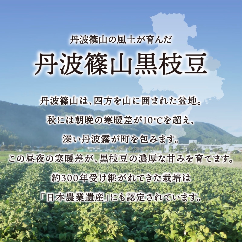 訳あり黒枝豆【WEB限定】10月中旬（14日頃）より順次発送｜【令和8年度産】丹波篠山産 訳あり黒枝豆 3kg (1箱)・５kg (1箱)