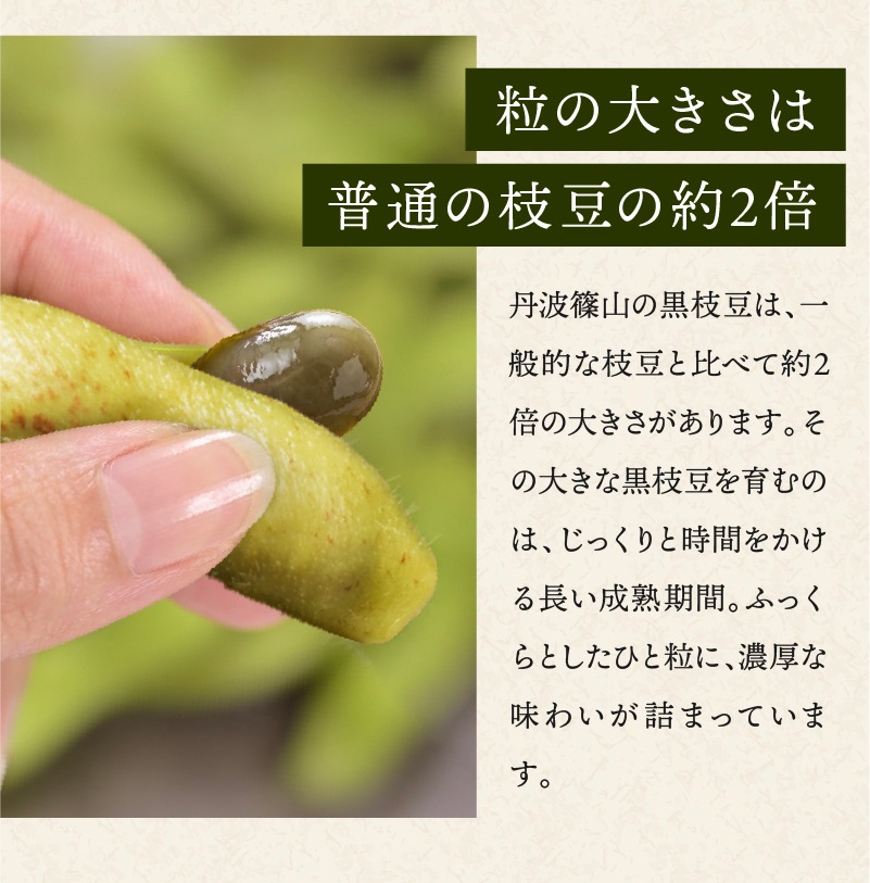 訳あり黒枝豆【WEB限定】10月中旬（14日頃）より順次発送｜【令和8年度産】丹波篠山産 訳あり黒枝豆 3kg (1箱)・５kg (1箱)