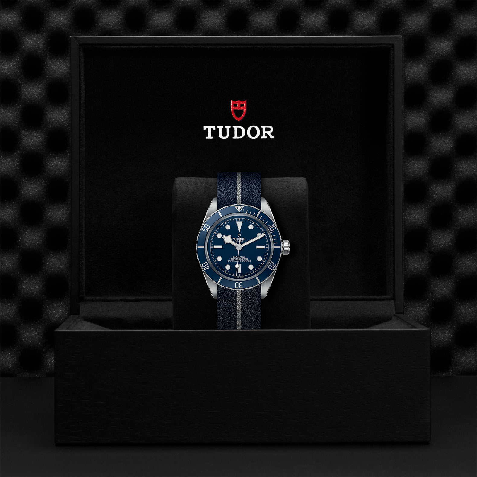 TUDOR チューダー ブラックベイ 58 M79030B-0003
