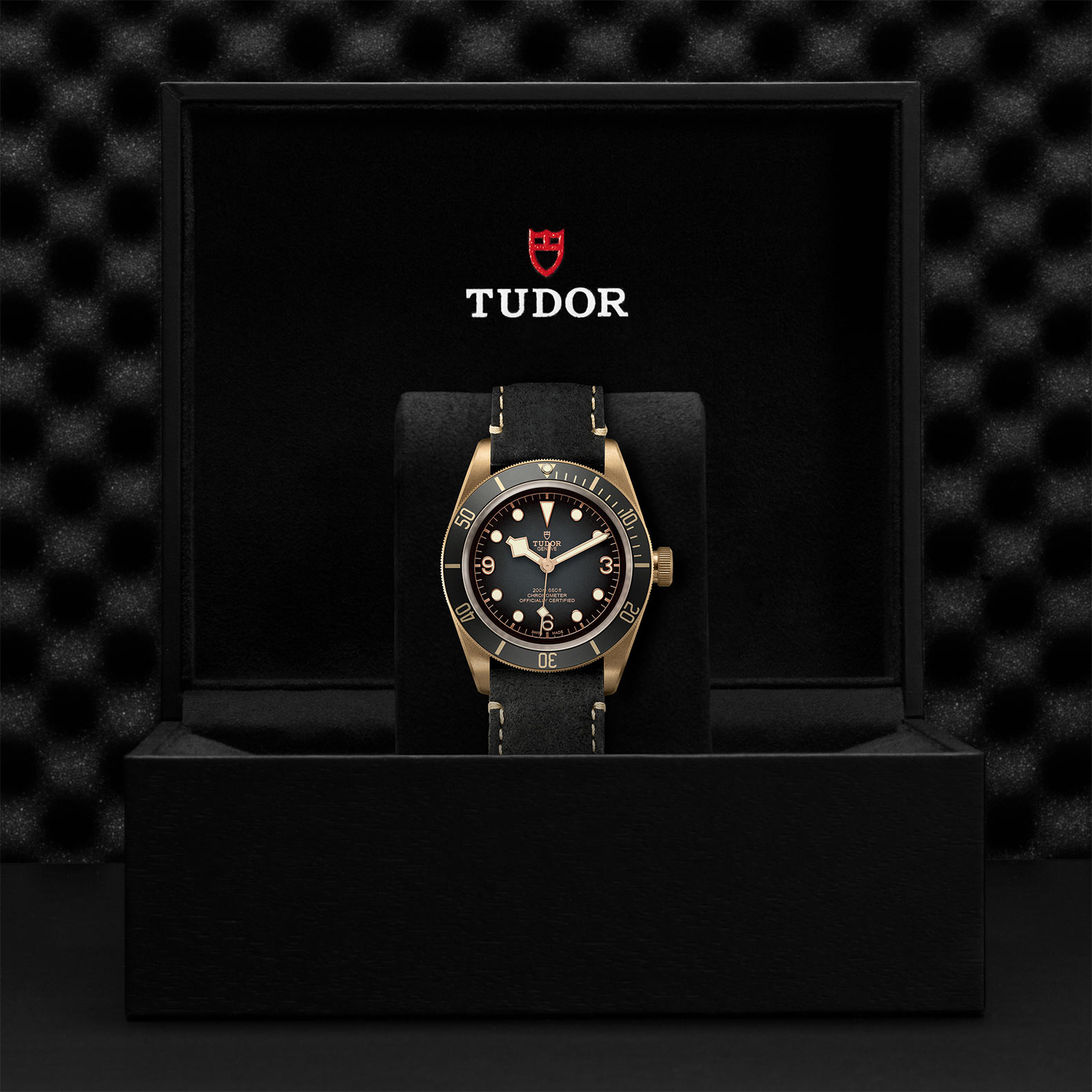 TUDOR チューダー ブラックベイ ブロンズ M79250BA-0001