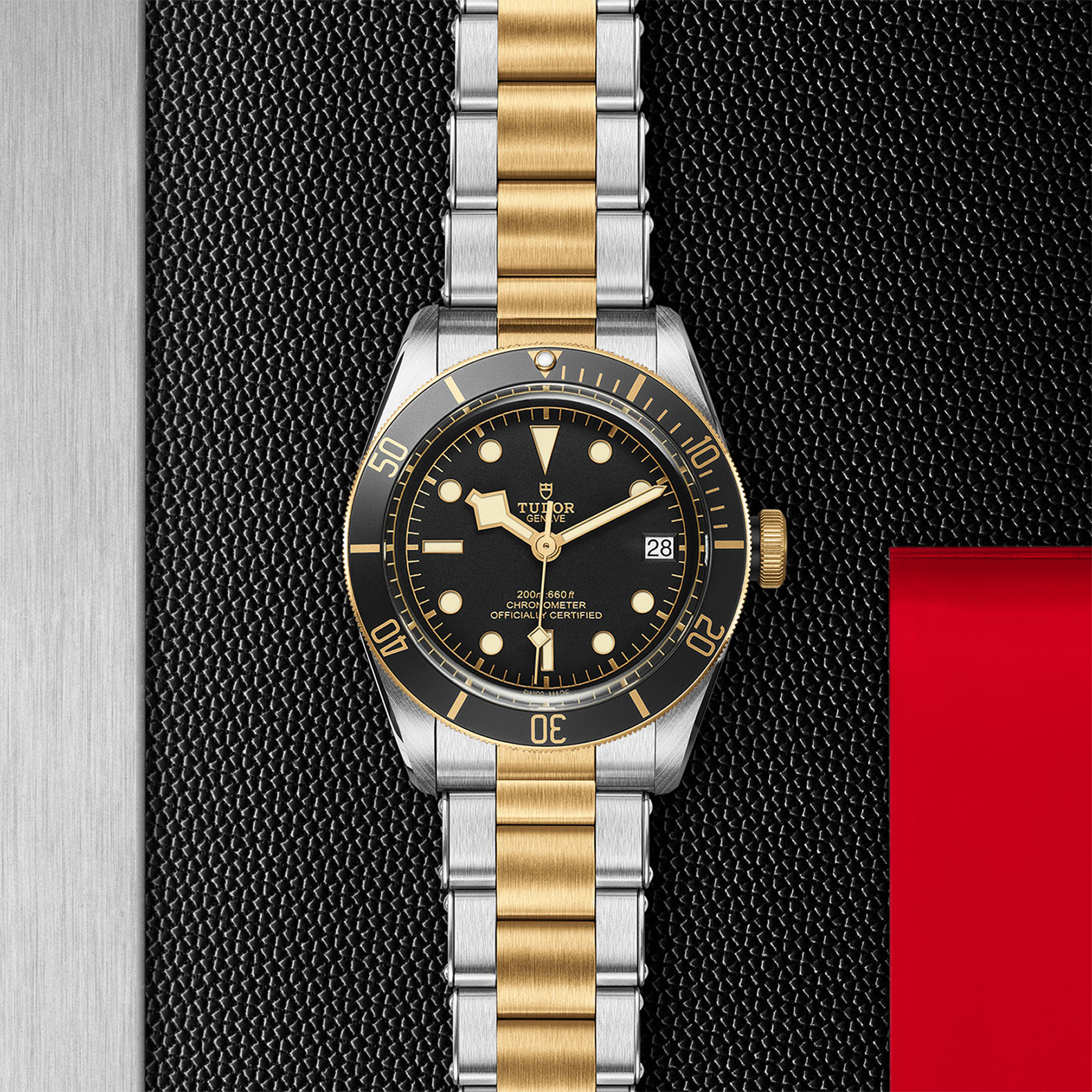 TUDOR チューダー ブラックベイ S&G M79733N-0008