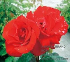 ���饹�����󡦥Х������ / Gruss an Bayern / 6��ż��������ݥå�