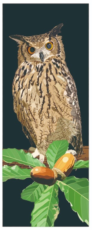 �ե륫�顼�¼꿡�����֥ե�������