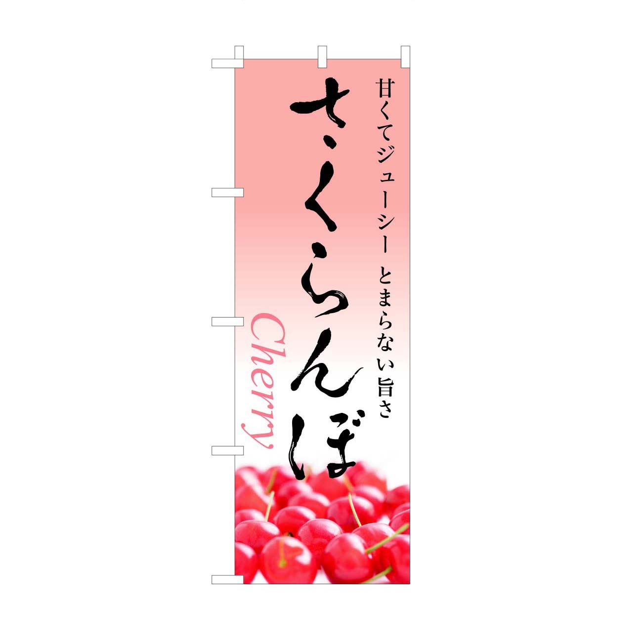 �Τܤꡡ�������ܡ���11��