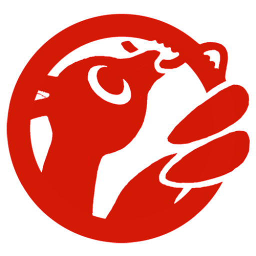 玉掛索 両アイ 径9ｍｍ 長20ｍ 1本セット JIS 編込み加工 ワイヤーロープ 