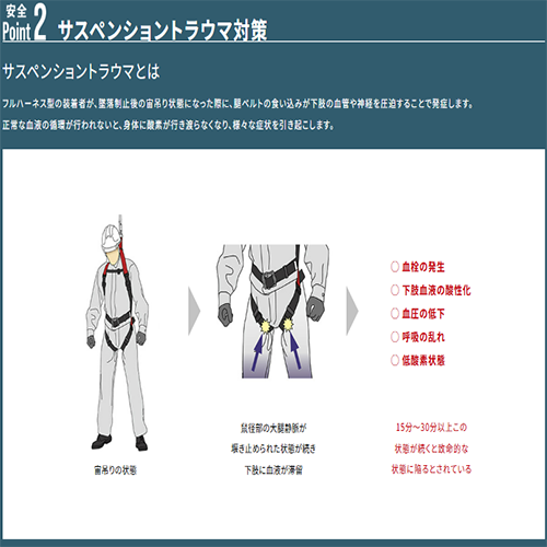 サンコー_タイタン_イージーハーネス_CROSS_TITAN_CRH-10C型_Mサイズ_REEL LOCK mini_2点セット_ワイヤーロープ_リング_フック_クレーン作業_スリング