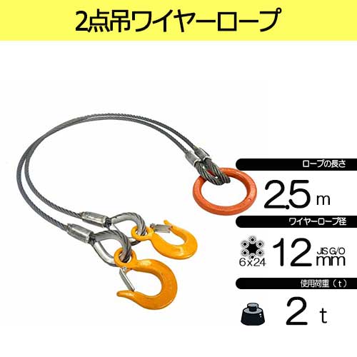 玉掛策 JIS 径12mm 長2.5m 荷重2.0t 2点吊 ワイヤーロープ