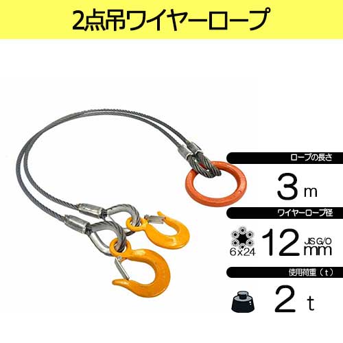 玉掛策 JIS 径12mm 長3.0m 荷重2.0t 2点吊 ワイヤーロープ