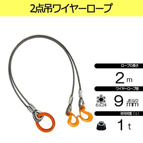 玉掛策 JIS 径9mm 長2.0m 荷重1.0t 2点吊 ワイヤーロープ
