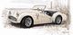 Have Love for your Sportscar by Bow��2026 ���ÿ����ʻ����񤪻�ʧ����