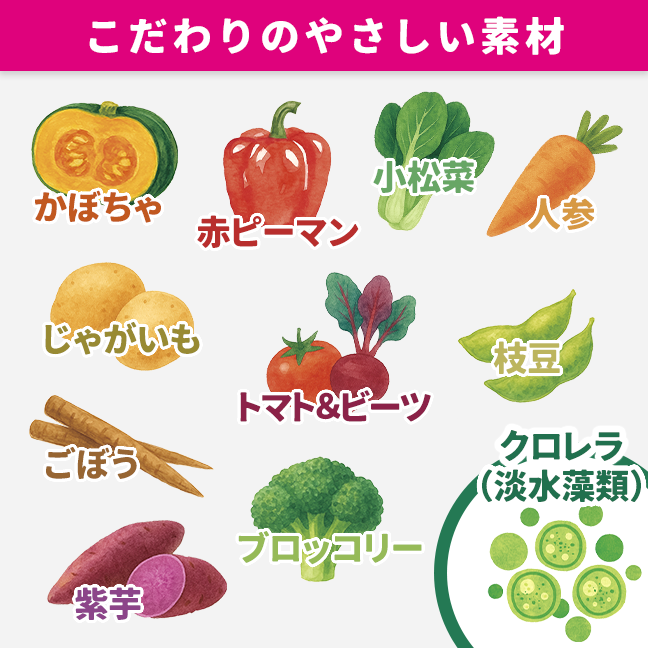 定期便】野菜ミックスセット 2倍プラン | 定期便 | SONOMAMA（ソノママ