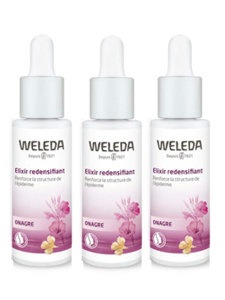 [�������]���֥˥󥰥ץ������� ���ꥯ������ 3�ĥ��å�