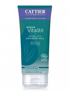 [���ƥ���]���������� ���ȥ���������ե���ͥ�