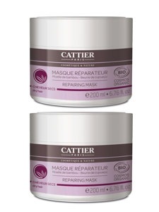 [ƥ]إޥ Rʥ᡼إ إȥ꡼ȥȡ 2ĥå