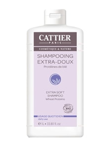 ���ƥ���[CATTIER]�������ȥ� ���ե� �����ס�