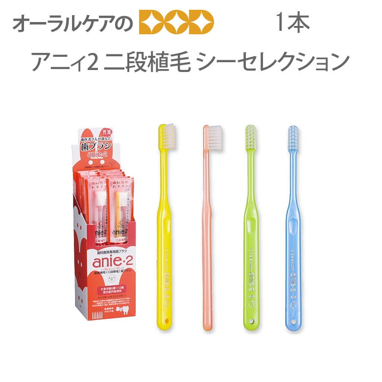 歯ブラシ | オーラルケアのDOD本店 歯ブラシ | オーラルケアのDOD本店