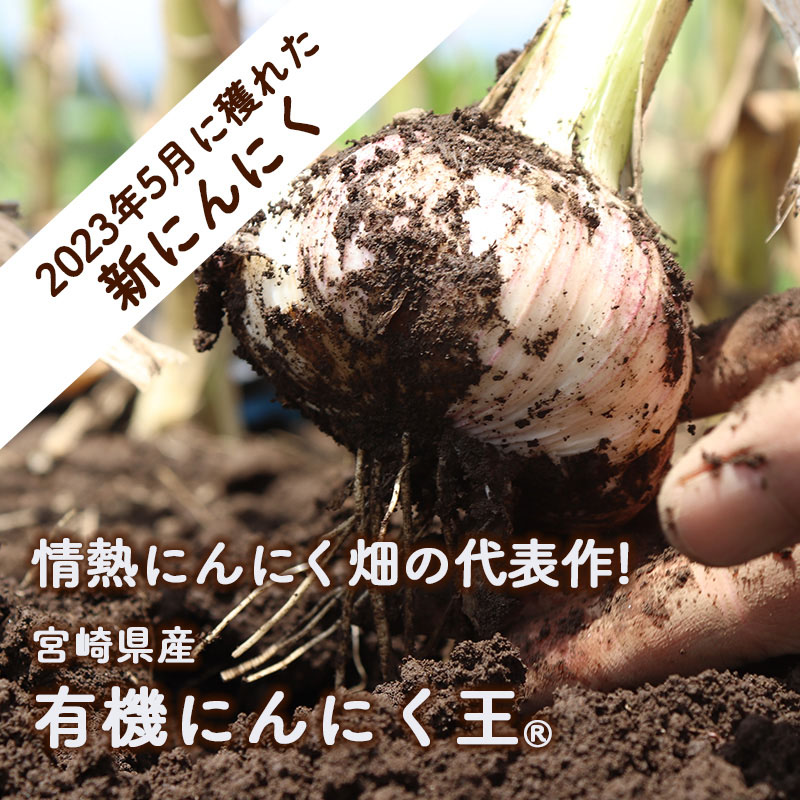 宮崎県産 有機にんにく王 1kg/本多荘輔の情熱にんにく畑｜本多荘輔の