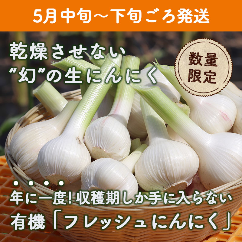 【5/18まで】新鮮、生にんにく　9kg 愛知県産 新潟直送計画】新潟県産にんにく・熟成黒にんにく – ODAホワイト