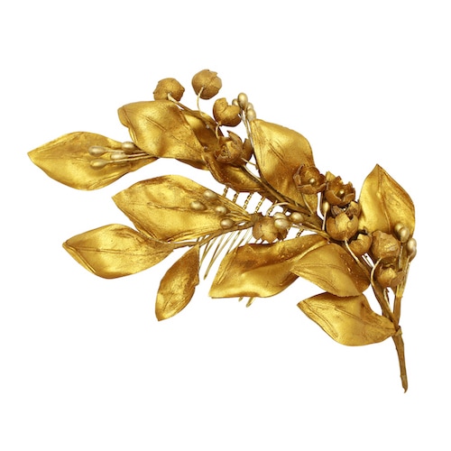 LAICA Gold comb（ライカゴールドコーム）