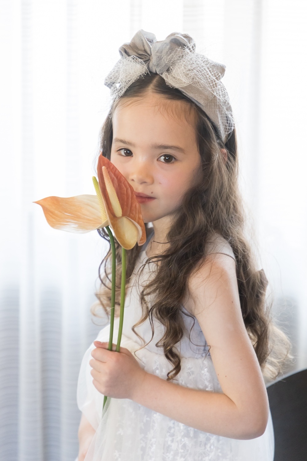 VELL ribbon Gray（ヴェル）　